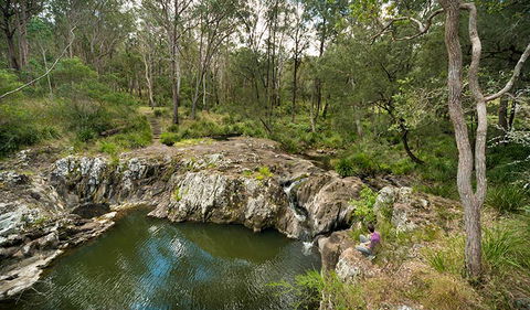Koreelah National Park - Accommodation Main Beach 2