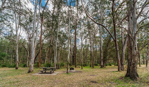 Koreelah National Park - Accommodation Main Beach 3