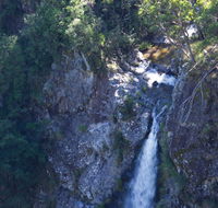 Lyrebird Falls walking track - Accommodation Main Beach
