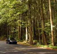 Greater Blue Mountains drive - Accommodation Main Beach