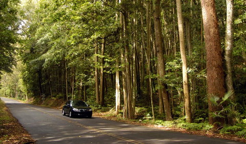 Greater Blue Mountains Drive - Accommodation Main Beach 0