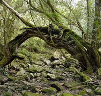 Mitchell River National Park - Accommodation Main Beach