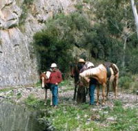 Yarramba Horse Riding - Accommodation Main Beach