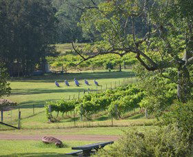 Wollombi Wines - Accommodation Main Beach 8