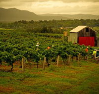 Around Hermitage Wine and Food Trail Hunter Valley - Accommodation Main Beach