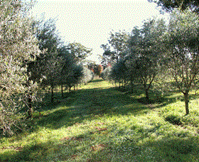 Langdale Farm - Accommodation Main Beach