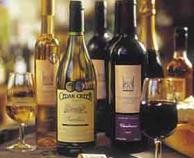 Stonehurst Cedar Creek Vineyard - Accommodation Main Beach 1