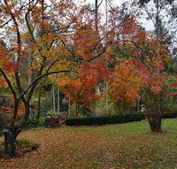 Bellbird Cottage - Accommodation Main Beach