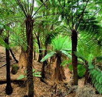 Pegarah Private Nature Reserve  Parenna Place - Accommodation Main Beach