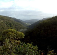 Nattai Gorge Lookout - Accommodation Main Beach