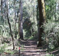 Box Vale Mine Walking Track and Lookout - Accommodation Main Beach