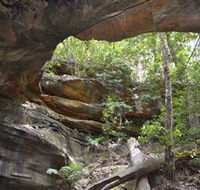 Cave Creek Walking Track - Accommodation Main Beach