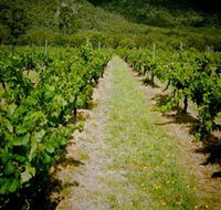 Gartelmann Wines - Accommodation Main Beach