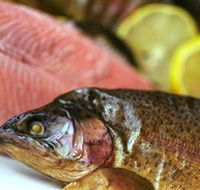 Lovedale Smokehouse Gourmet Pantry Cafe and Masterclasses - Accommodation Main Beach