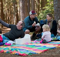 State Forests of the Watagan Mountains - Accommodation Main Beach
