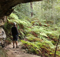 Dharug National Park - Accommodation Main Beach