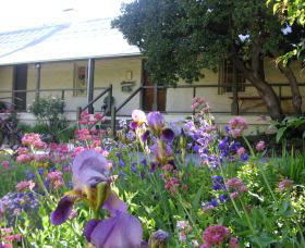 Raglan Gallery And Cultural Centre - Accommodation Main Beach 0
