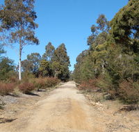 Werakata National Park - Accommodation Main Beach