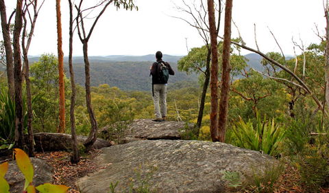 Mount Olive Lookout - Accommodation Main Beach 1