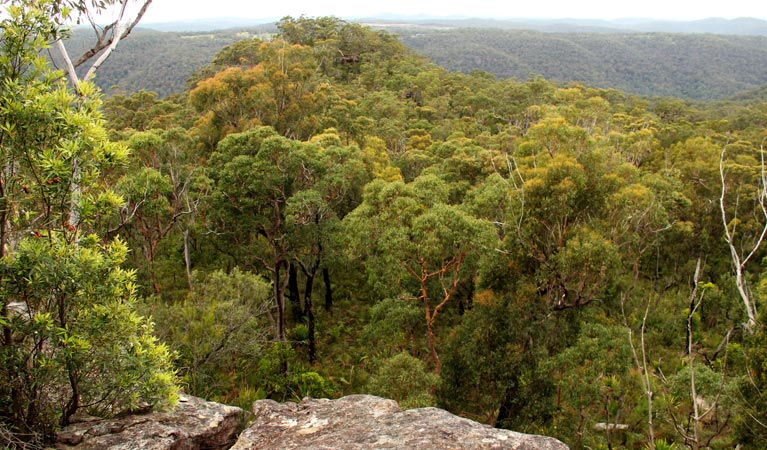 Mangrove Mountain NSW Accommodation Main Beach