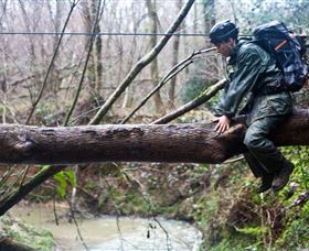Bear Grylls Survival Academy - Accommodation Main Beach 5