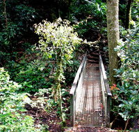 Richmond Range National Park - Accommodation Main Beach