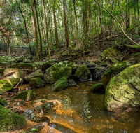 Palm Grove Nature Reserve - Accommodation Main Beach