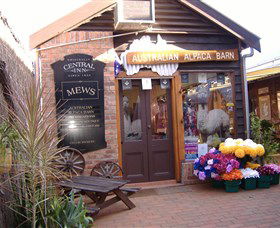 Australian Alpaca Barn - Morpeth - Accommodation Main Beach 0