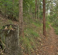 Border loop walk - Accommodation Main Beach
