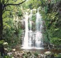 Budderoo National Park - The Falls Walk - Accommodation Main Beach