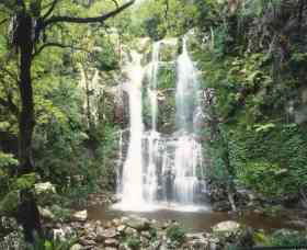 Budderoo National Park - The Falls Walk - Accommodation Main Beach 0