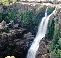 Minnamurra Rainforest Centre Budderoo National Park - Accommodation Main Beach