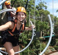 Wild Ropes at Taronga Zoo - Accommodation Main Beach