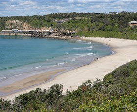 Catherine Hill Bay Beach - Accommodation Main Beach 1