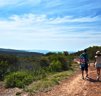 Moonee Beach trail - Accommodation Main Beach