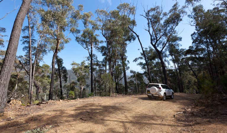 Wadbilliga NSW Accommodation Main Beach