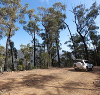 Wadbilliga Road drive - Accommodation Main Beach