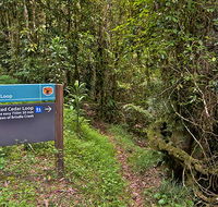 Red Cedar loop - Accommodation Main Beach