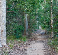 Delta track - Accommodation Main Beach