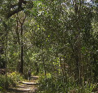 Sand track walk south - Accommodation Main Beach