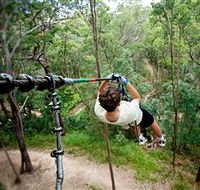 TreeTop Challenge - Accommodation Main Beach