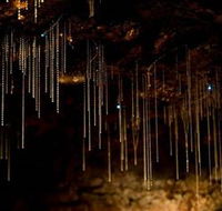 Tamborine Mountain Glow Worm Caves - Accommodation Main Beach