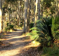 Square Head track 2 - Accommodation Main Beach