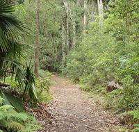 Lake walking track - Accommodation Main Beach