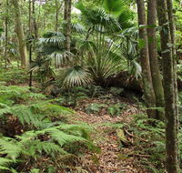 Durras Lake Discovery trail - Accommodation Main Beach