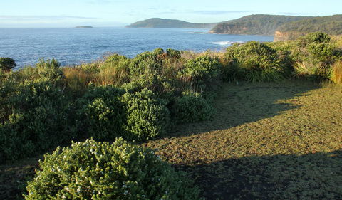 Pretty Beach To Durras Mountain Walking Track - Accommodation Main Beach 3