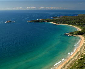 Cookies Beach Picnic Area - South Durras - Accommodation Main Beach 0