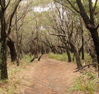 Pretty Beach to Snapper Point walking track - Accommodation Main Beach