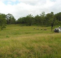 Numinbah Valley Adventure Trails - Accommodation Main Beach
