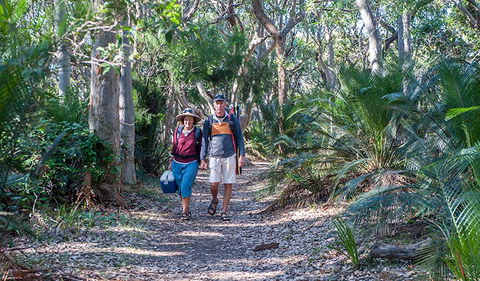 Myrtle Beach Walking Track - Accommodation Main Beach 0